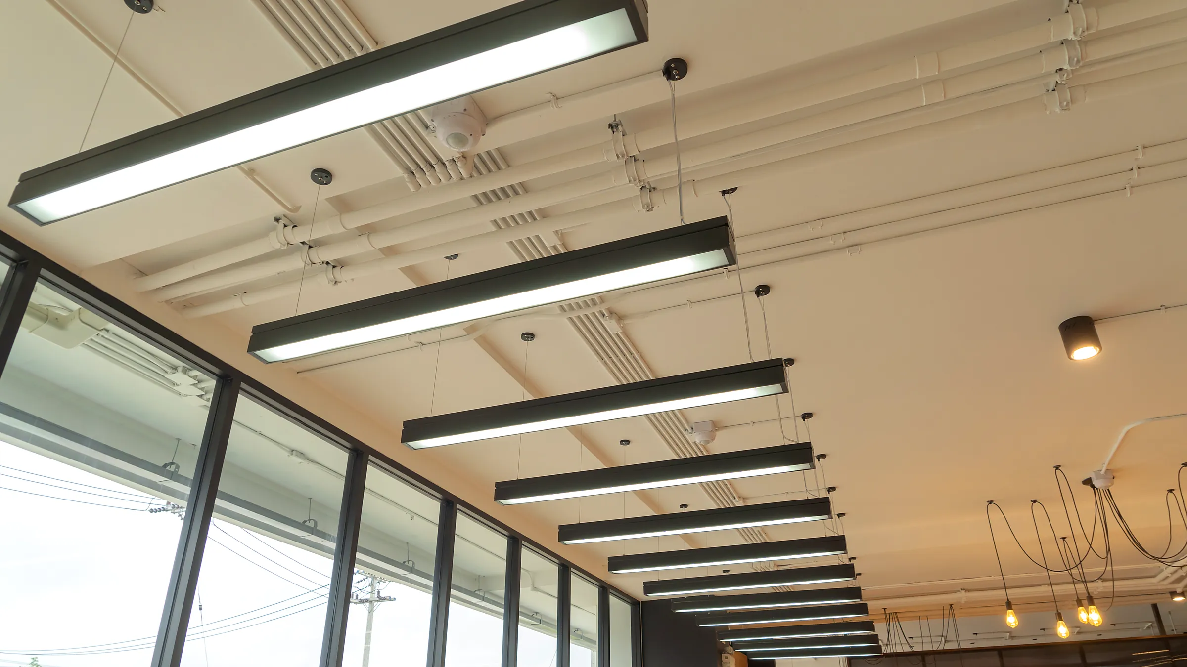 Linear LED pendant lighting in a modern glass-walled office